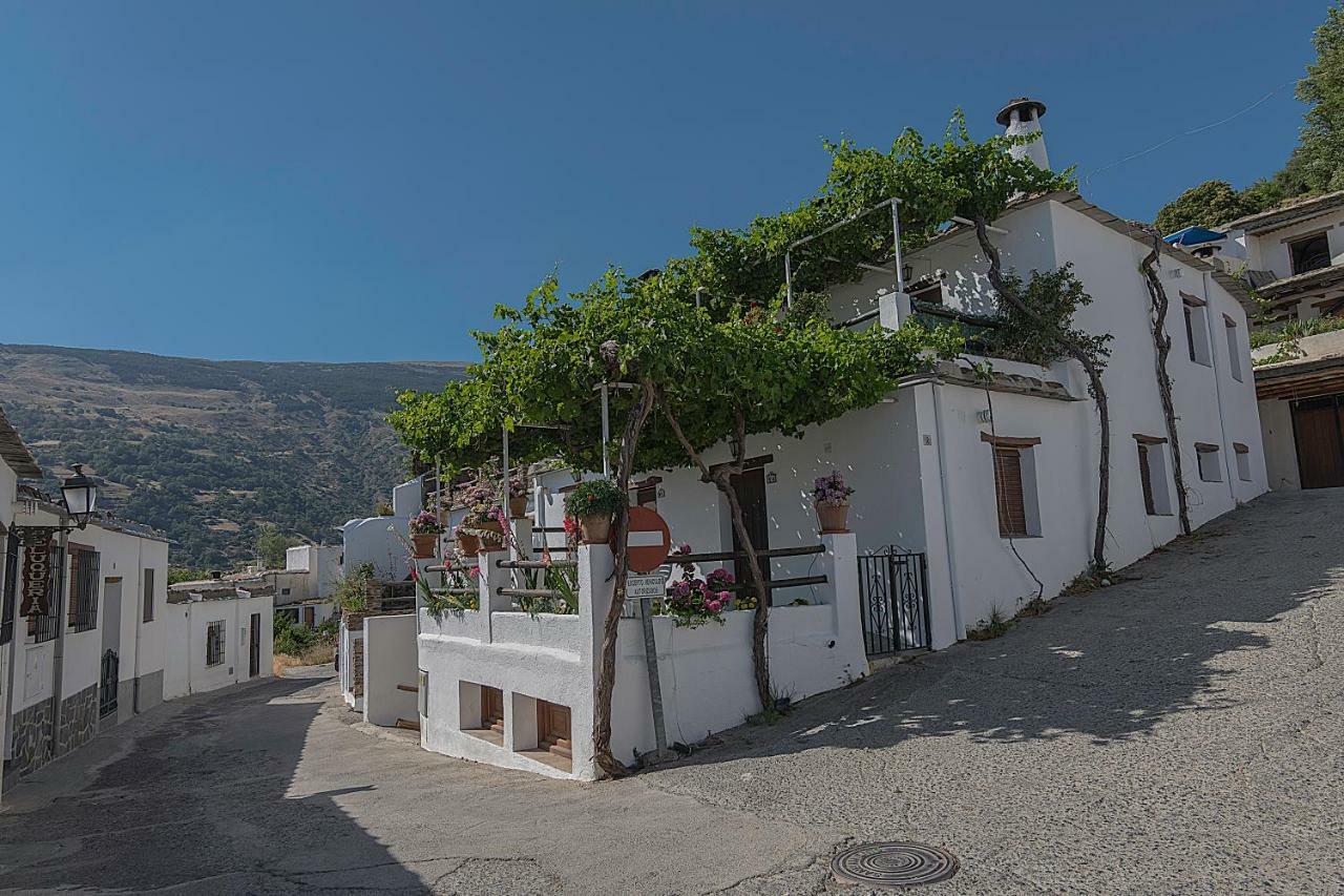 Apartamentos Rurales Las Chimeneas Capileira Eksteriør bilde